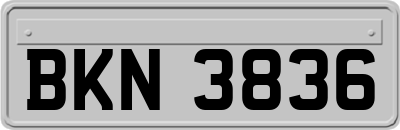 BKN3836