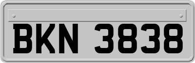 BKN3838