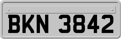 BKN3842