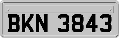 BKN3843