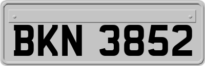 BKN3852