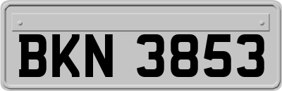 BKN3853