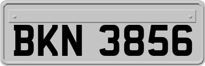 BKN3856