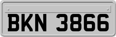 BKN3866
