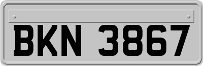 BKN3867