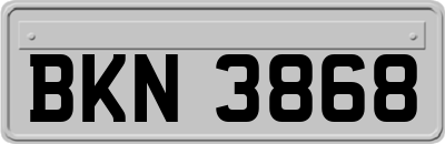 BKN3868