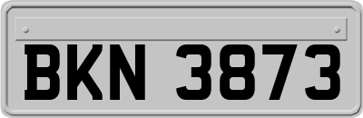 BKN3873