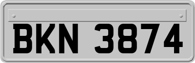 BKN3874