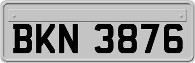 BKN3876