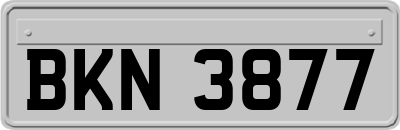 BKN3877