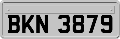 BKN3879