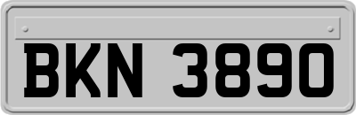 BKN3890