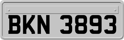 BKN3893