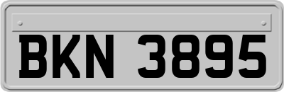 BKN3895