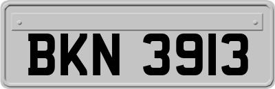 BKN3913