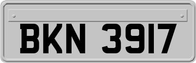 BKN3917
