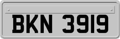 BKN3919