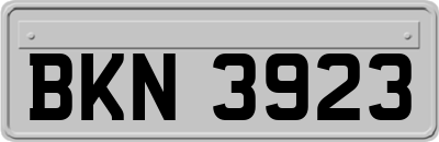 BKN3923