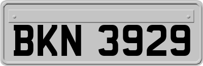 BKN3929