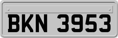 BKN3953