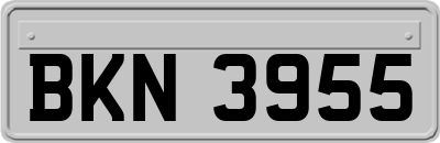 BKN3955