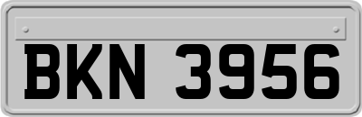 BKN3956