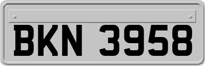 BKN3958