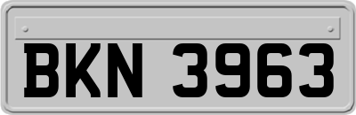 BKN3963