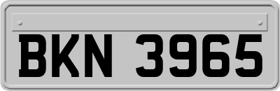 BKN3965