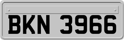 BKN3966