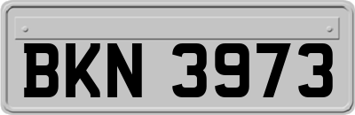 BKN3973