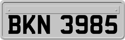 BKN3985