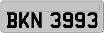 BKN3993
