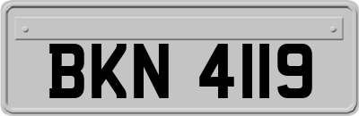 BKN4119