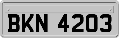 BKN4203