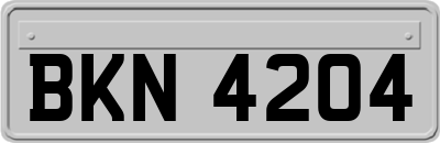 BKN4204