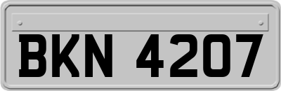 BKN4207
