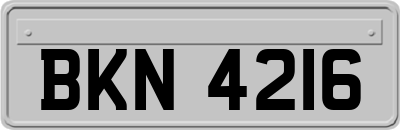 BKN4216