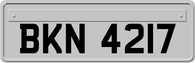 BKN4217