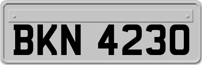 BKN4230
