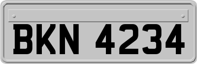 BKN4234