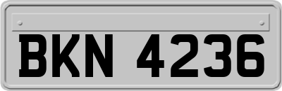 BKN4236