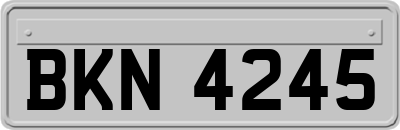 BKN4245
