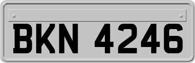 BKN4246