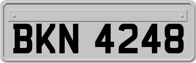 BKN4248