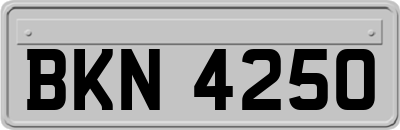 BKN4250