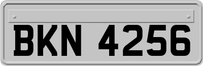 BKN4256