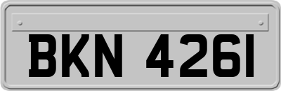 BKN4261
