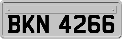BKN4266