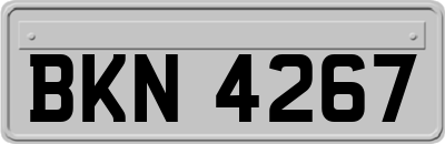 BKN4267